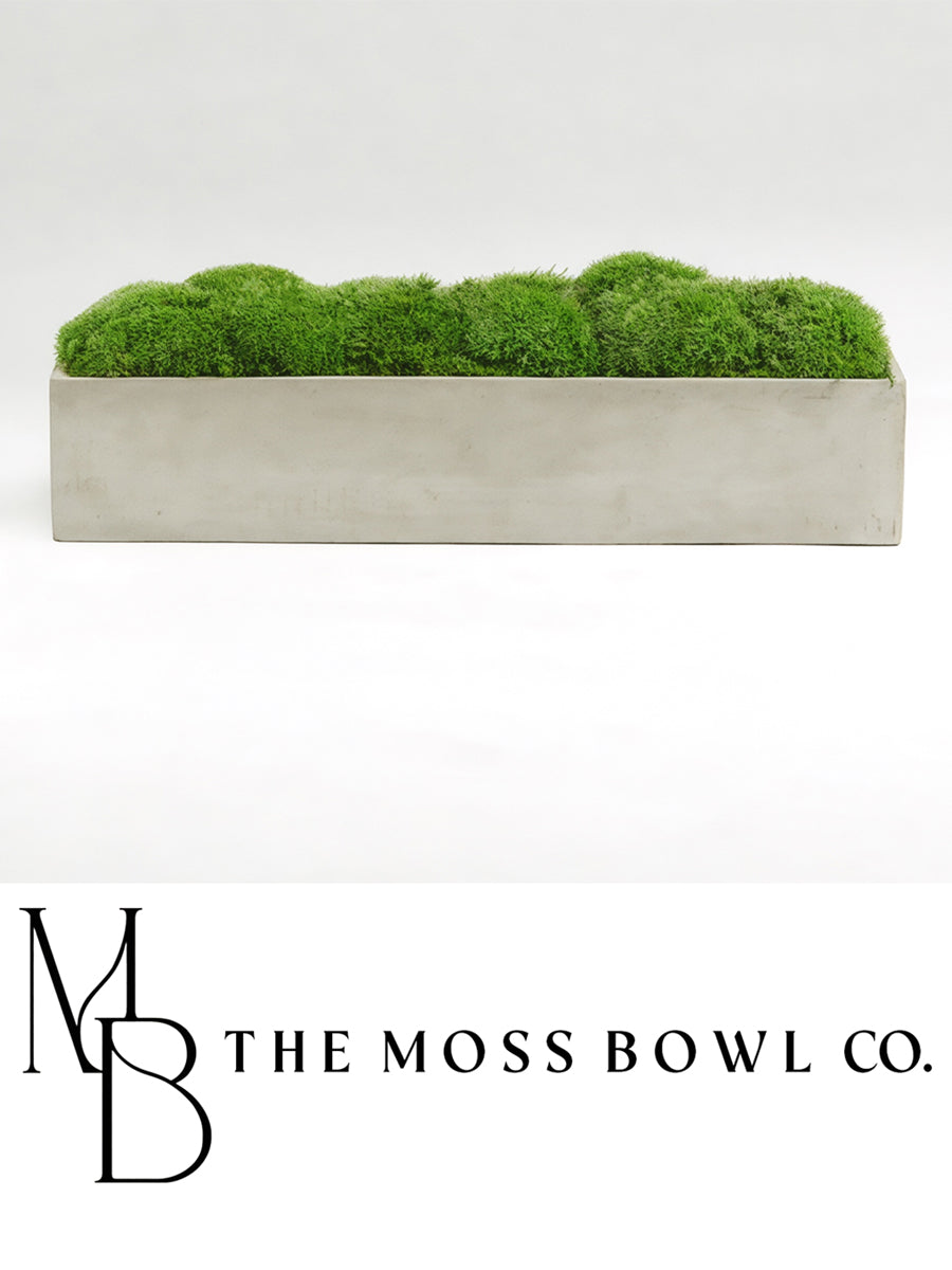 Concrete Trough Moss Bowl