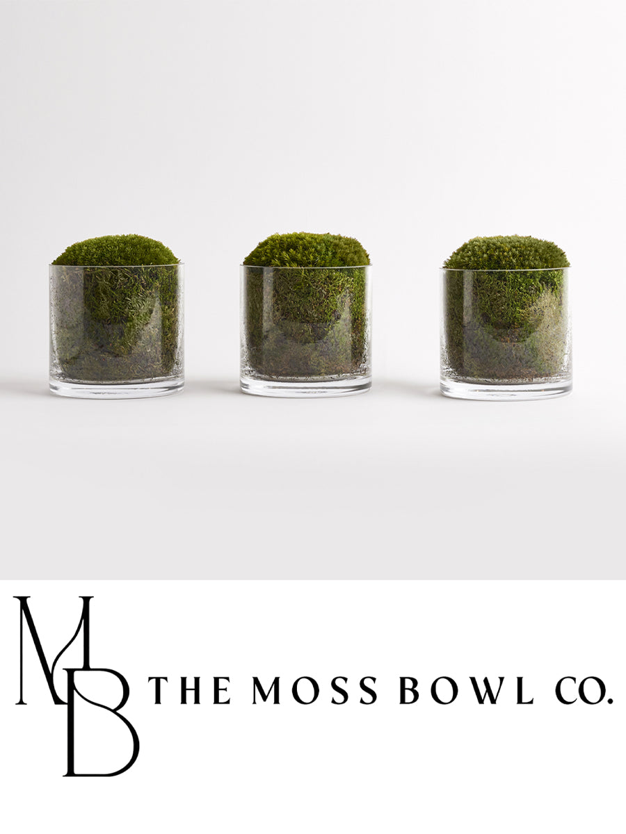 Cylindrical Moss