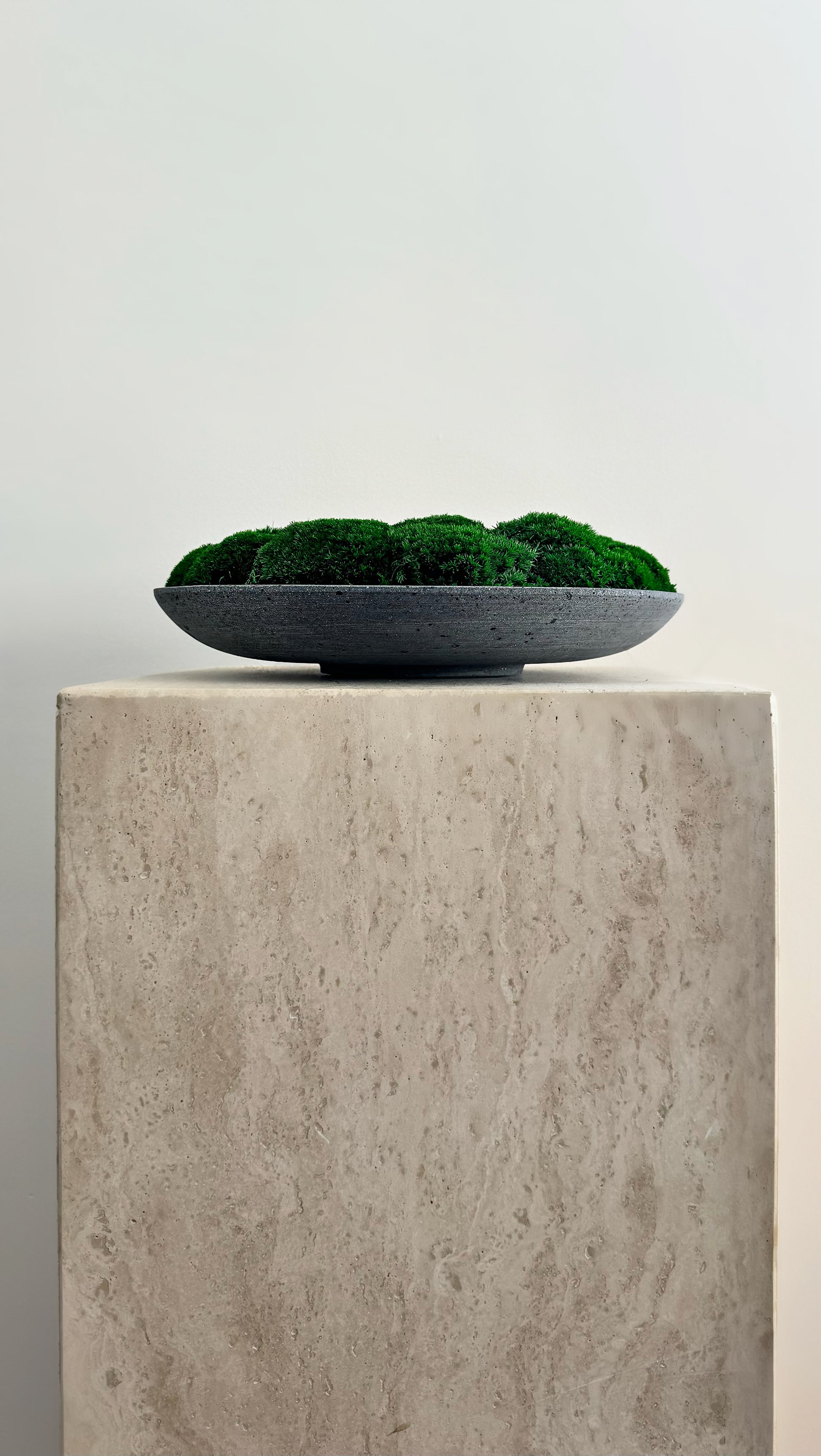 Concrete Béton Brut Moss Bowl