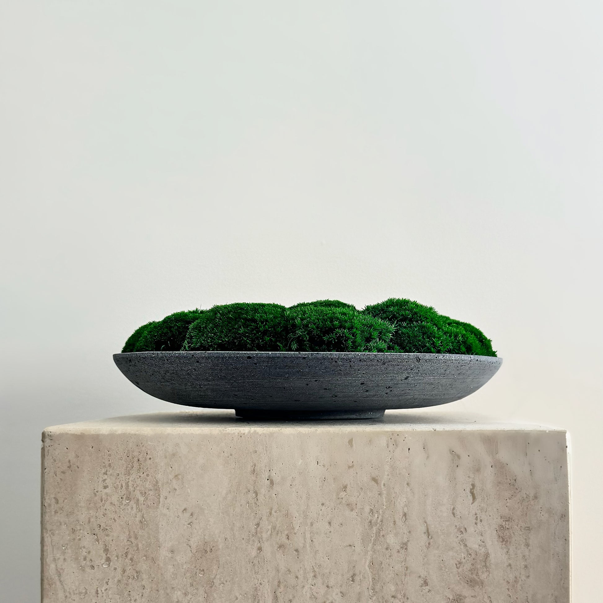 Concrete Béton Brut Moss Bowl