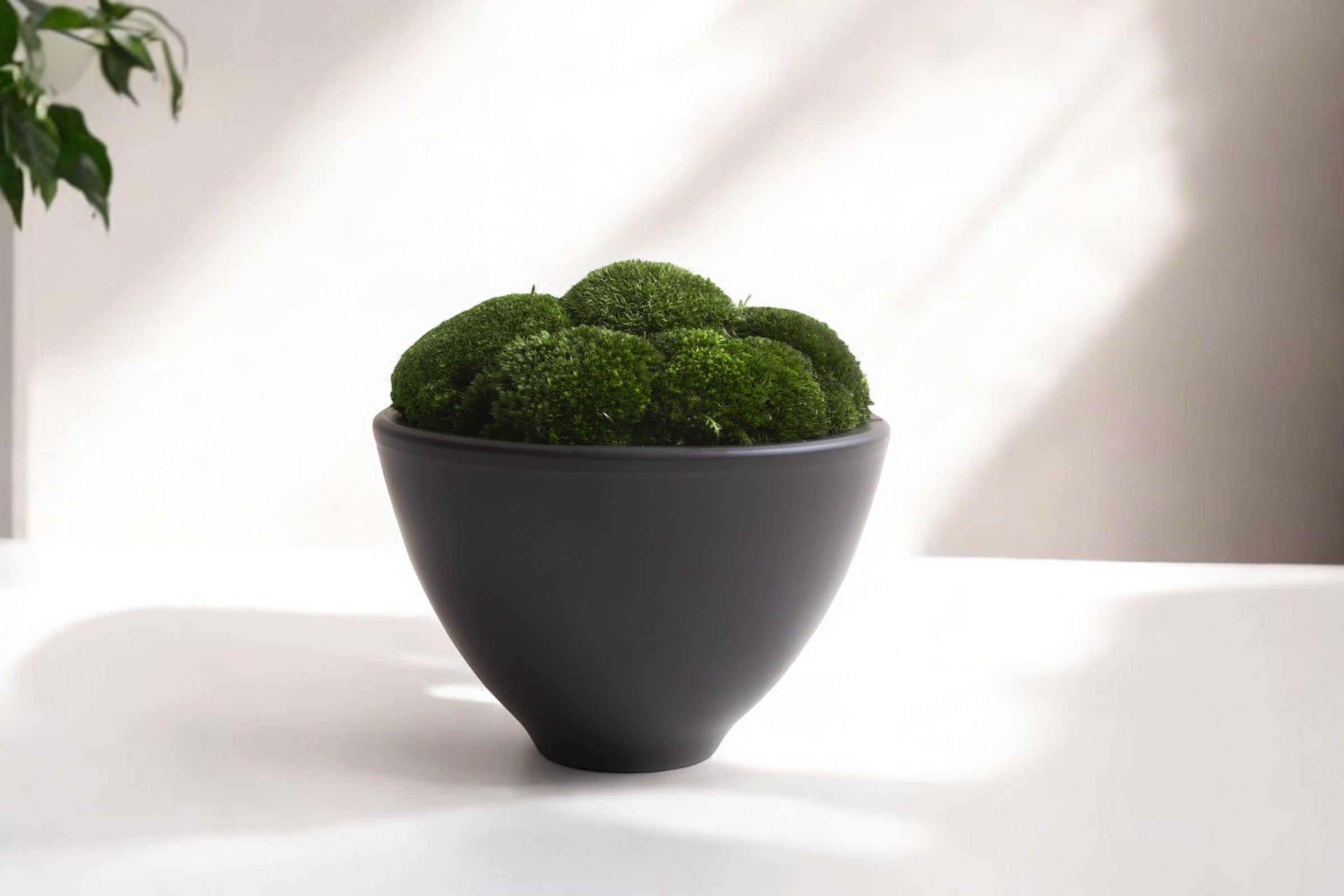 Anthracite Moss Bowl Tall