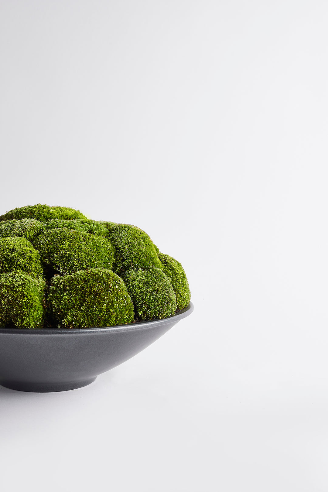 Anthracite Moss Bowl Large