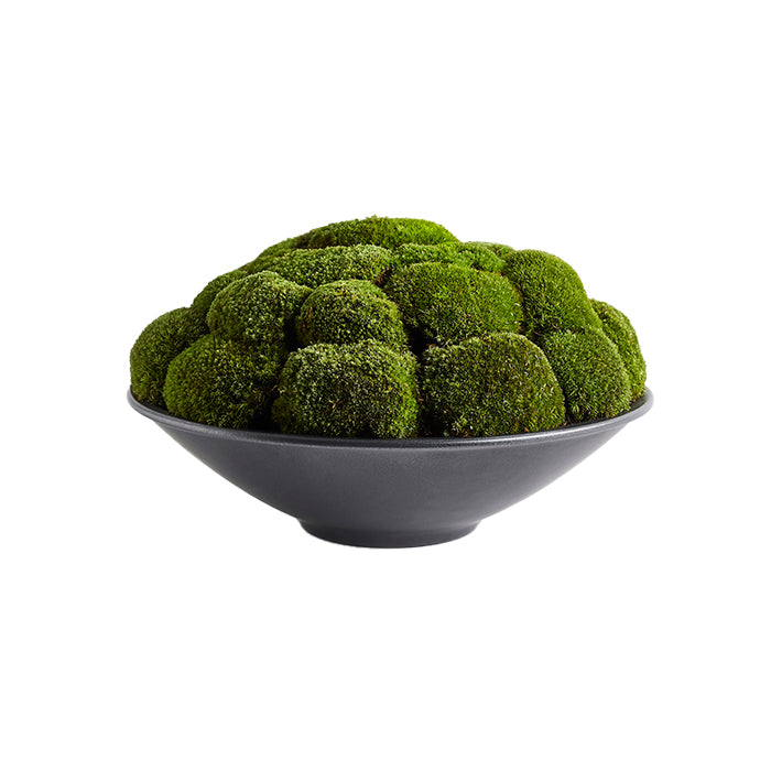 Anthracite Moss Bowl Large