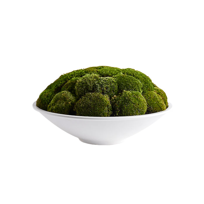 White Moss Bowl Mini