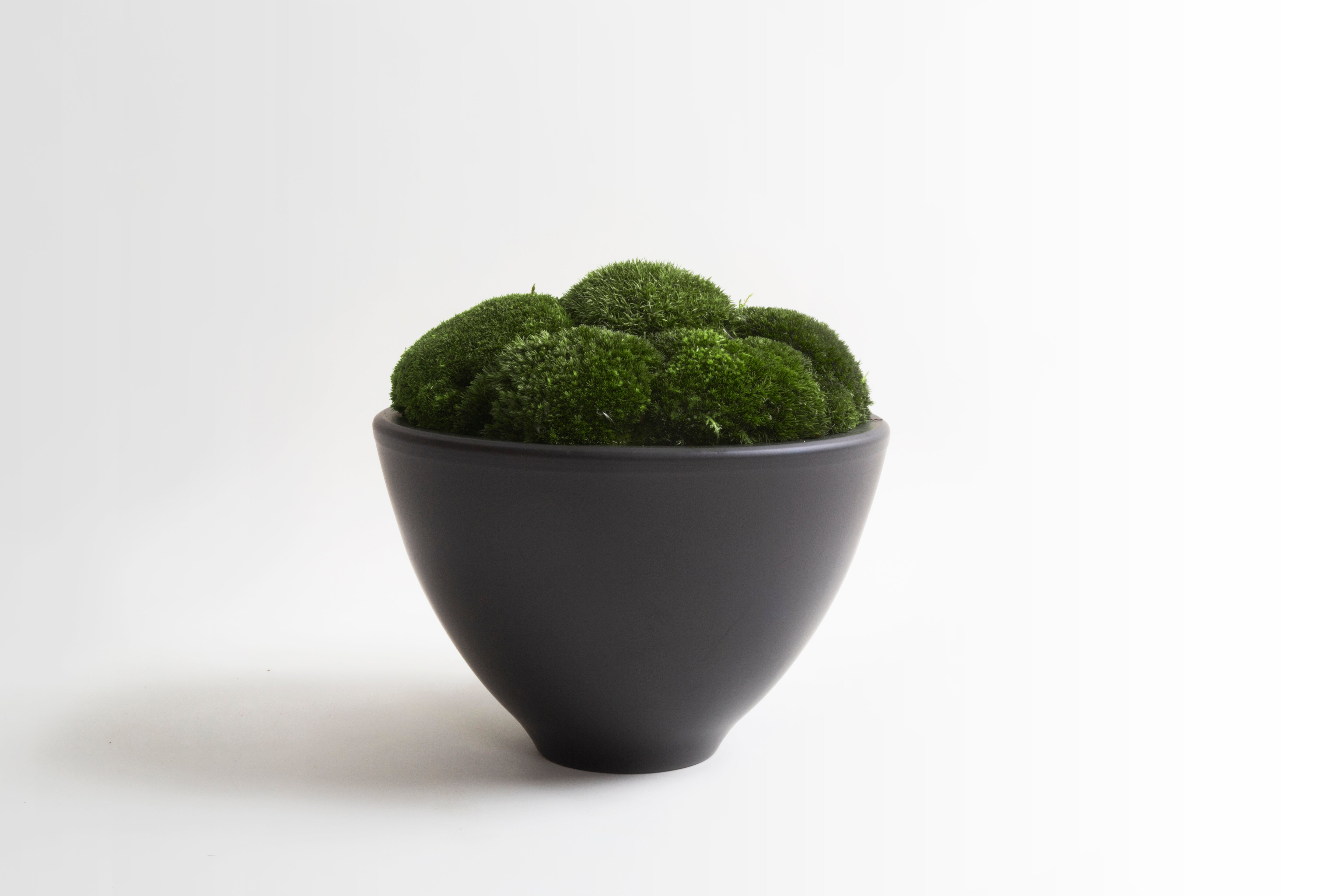 Anthracite Moss Bowl Tall