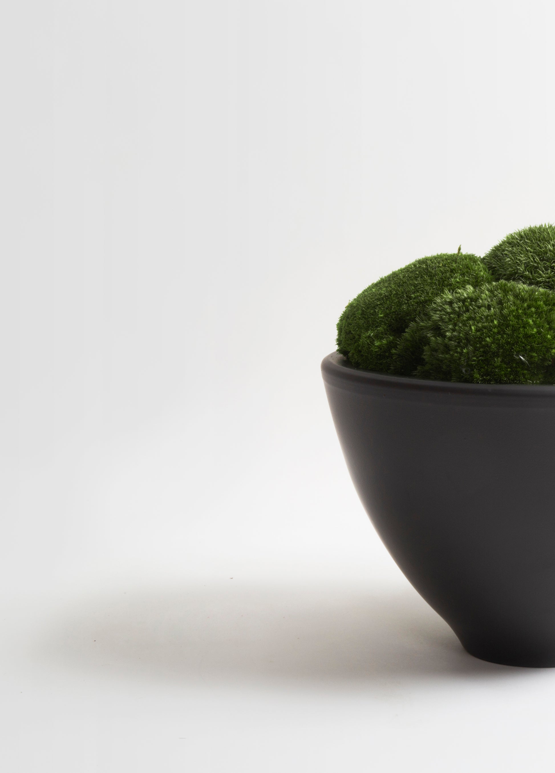 Anthracite Moss Bowl Tall