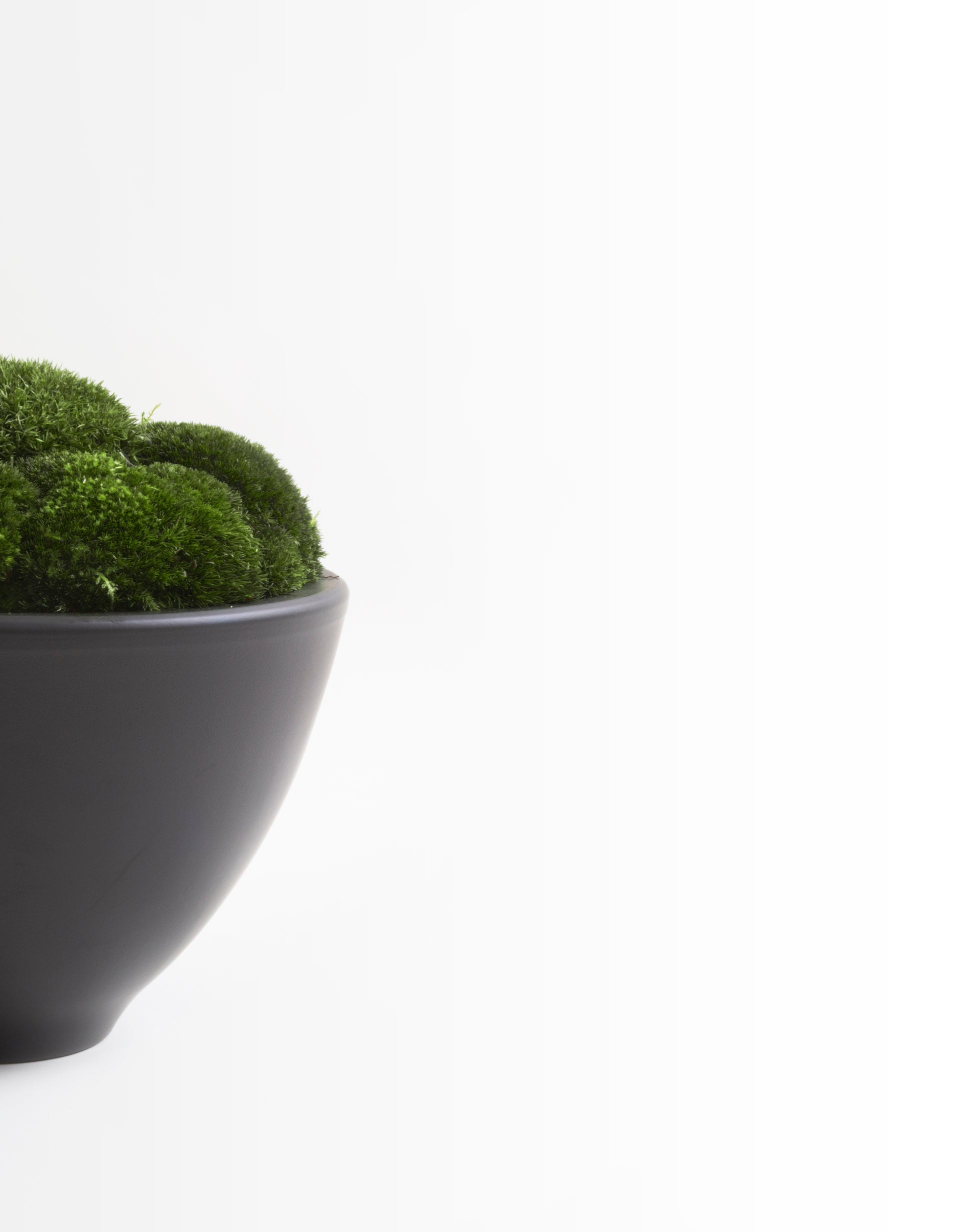 Anthracite Moss Bowl Tall