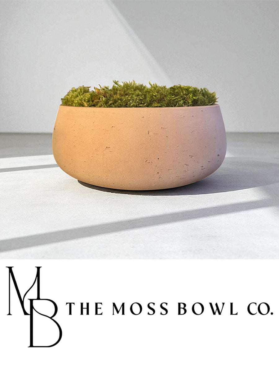 Moss Bowl Terracotta