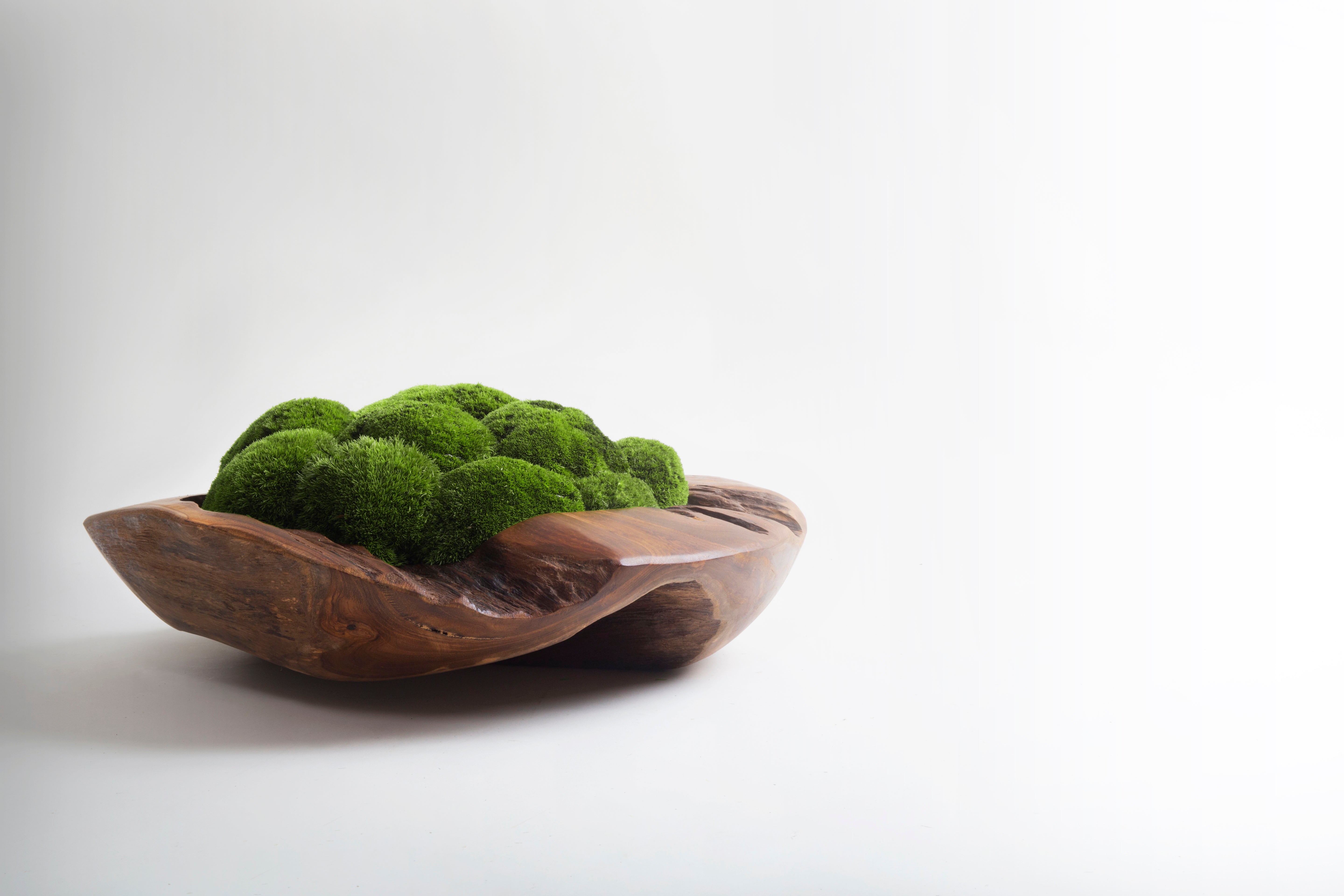 Wabi-Sabi Moss Bowl Medium