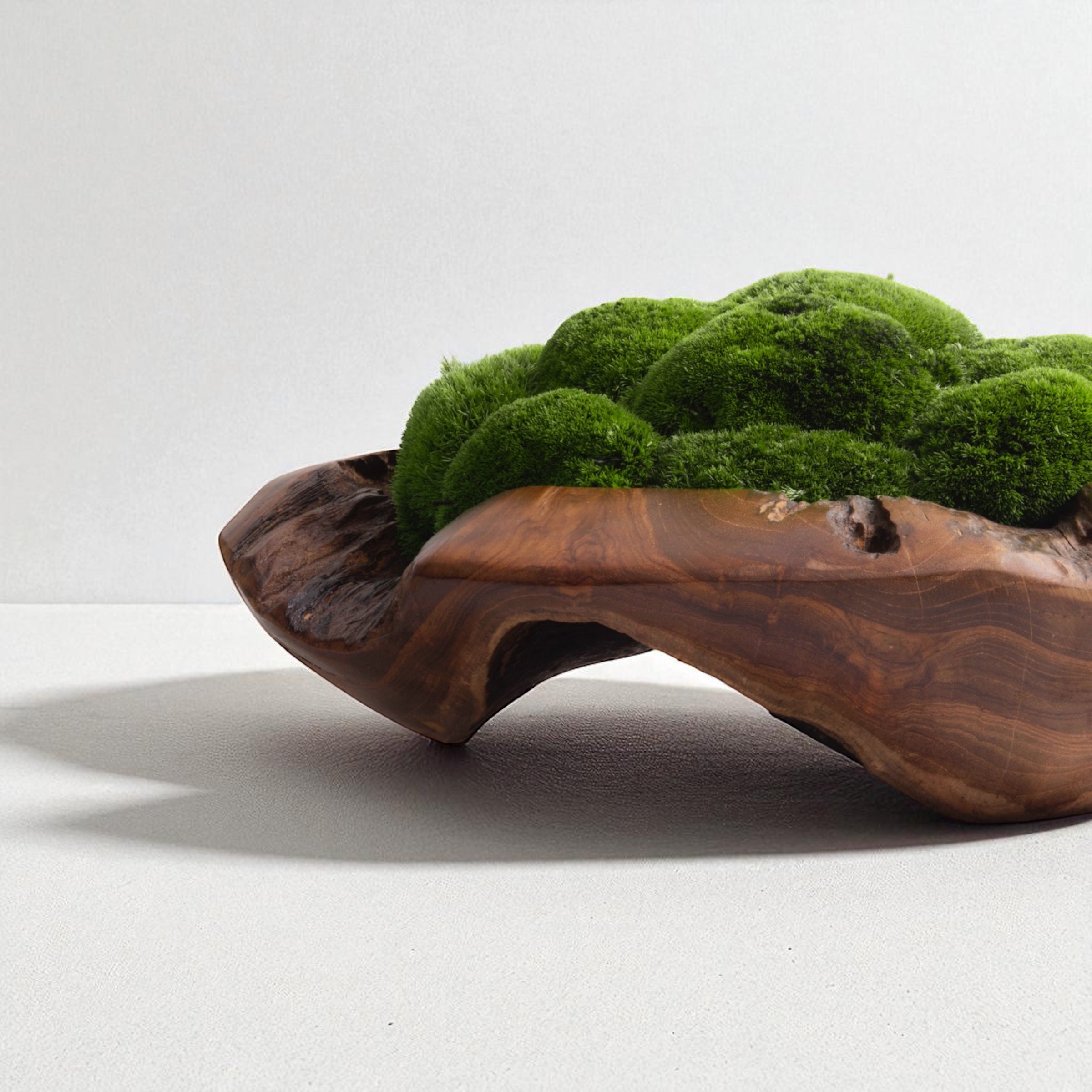 Wabi-Sabi Moss Bowl Medium