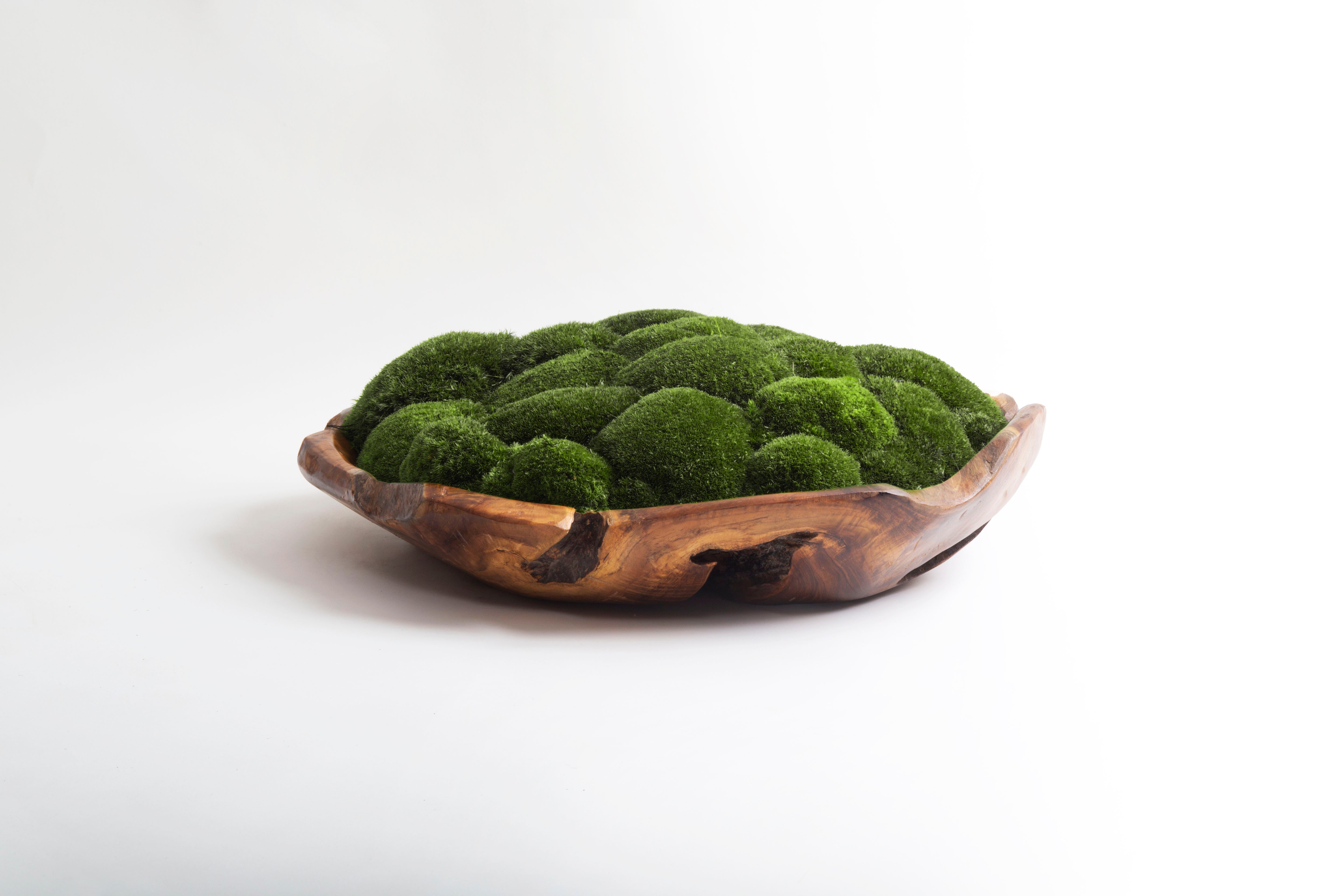 Wabi-Sabi Moss Bowl Large