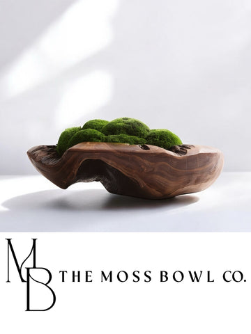 Wabi-Sabi Moss Bowl Medium